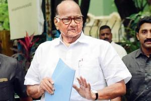 Sharad Pawar announces agreement with Cong on 240 Maha Assembly seats