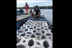 Siddharth Pillai's modular artificial reef to revitalize aquatic life