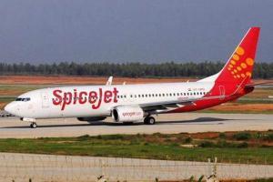 SpiceJet's stranded plane cleared from grass area at Mumbai airport