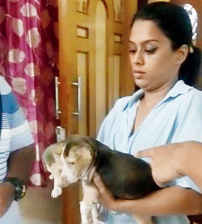 Animal activist Swapna Gupta with the confiscated puppies