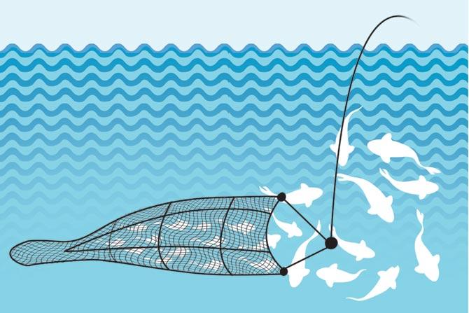 Trawling