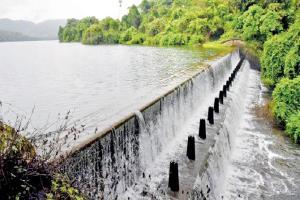 Heavy showers increases lake levels from 54 per cent to 75 per cent