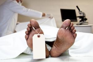 Mysterious death? 20-year-old man falls from South Mumbai high-rise