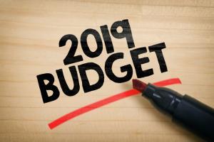 Budget 2019: Here's what favours you and what does not