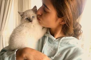 Disha Patani's photos with her wide-eyed cat will melt your heart