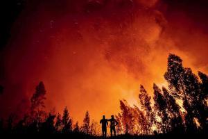 More than 1,000 firefighters battle wildfires in Portugal