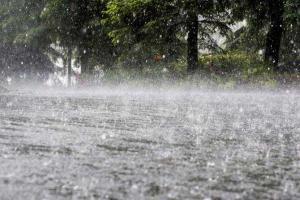 Guwahati rains: Ferry services to Umananda Temple suspended