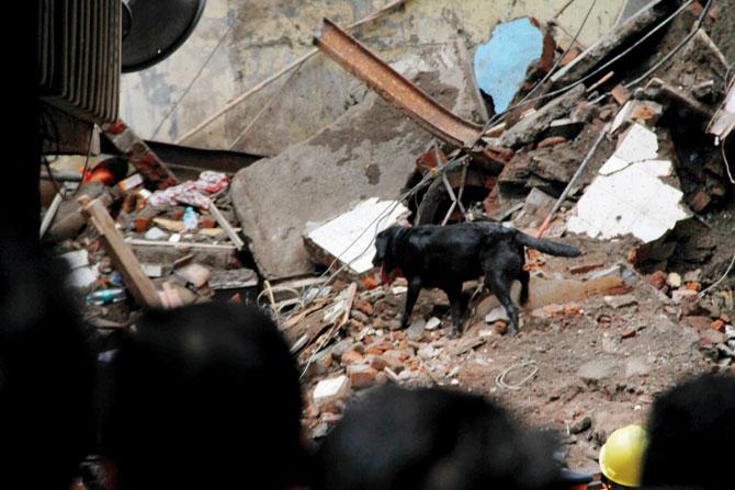 Dongri building collapse: Woman last to be pulled from debris fights for life