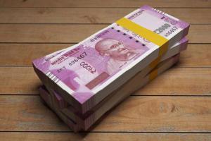 Kohli brigade's big loss bleeds punters by over Rs 100 cr