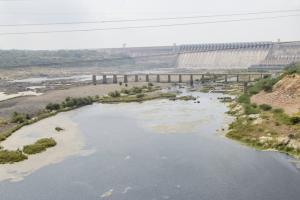Mumbai rains: Long wait for lakes to overflow