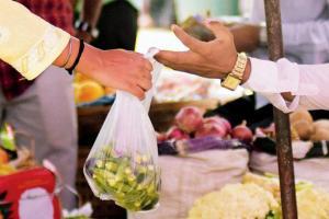 CPCB to NGT: 18 states have completely banned plastic bags