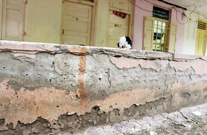 Building no 135 and 137 in the police colony have been declared as dangerous