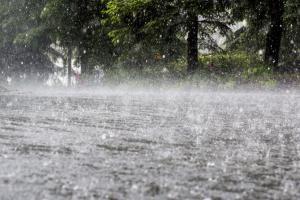 Rains lashes Muzaffarnagar girl killed, 4 injured in roof collapse