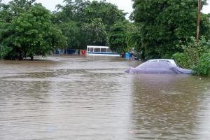 Mumbai rains cause traffic jam, waterlogging, tree collapses