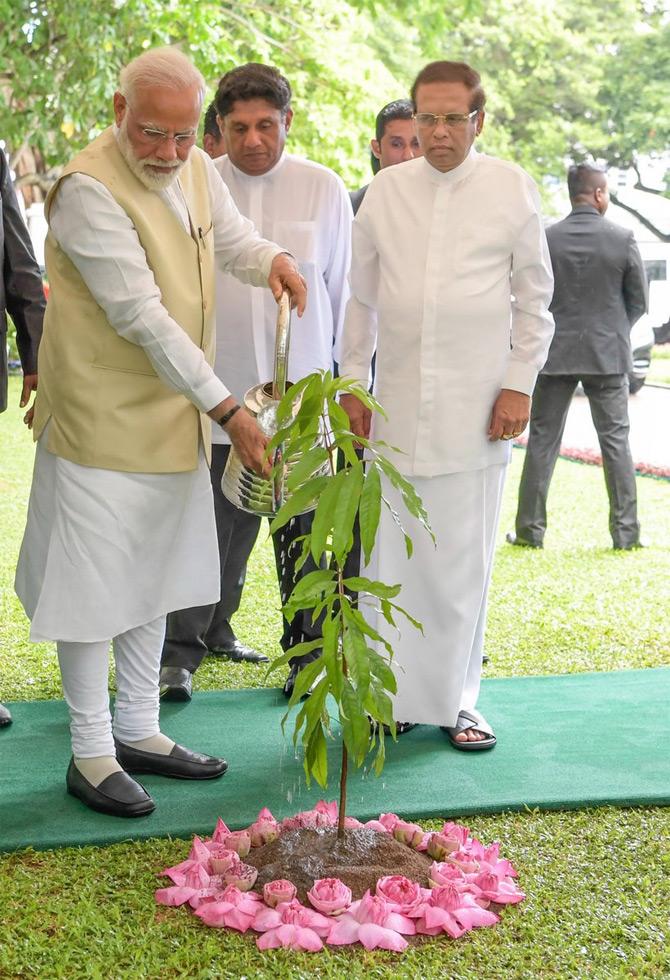 In pic: PM Narendra Modi waters a plant as Sri Lankan president Maithripala Sirisena looks on.