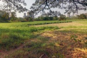 Government signs MoU for transfer of Aarey land to BMC for zoo