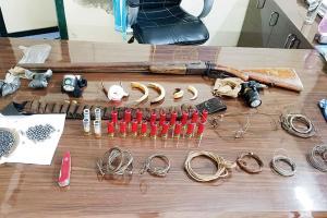 Two more members of active poaching gang held in Raigad