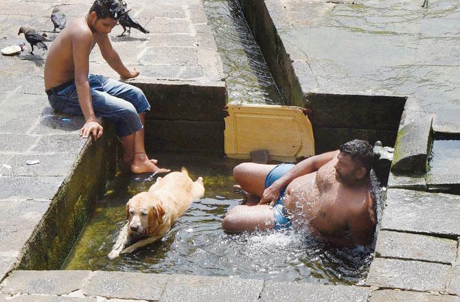 With the rain yet to cool down the city, a labrador and his owner cool off at the Banganga Tank in Walkeshwar. Pic/Suresh Karkera