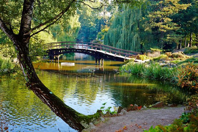 Botanical garden in Wroclaw