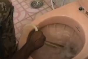 Watch video: Man wakes up to find cobra curled up inside toilet
