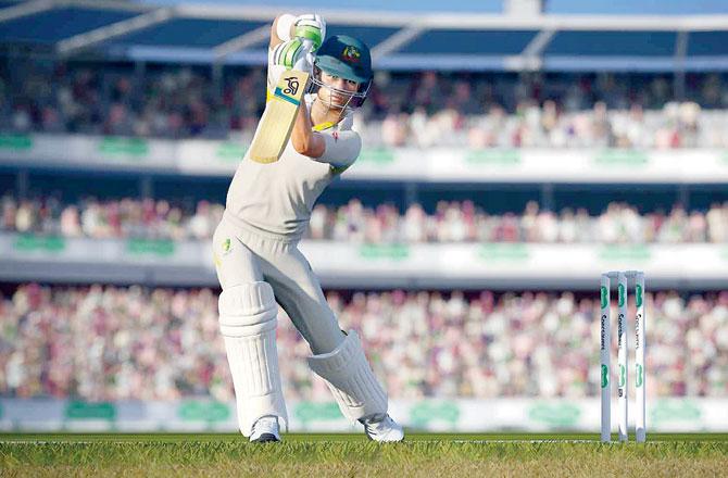 Cricket 19