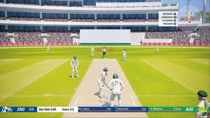 Cricket 19