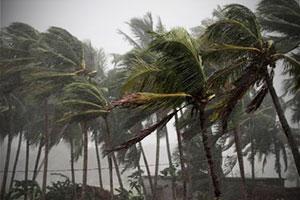 Gujarat on alert as cyclonic storm Vayu moves towards coast