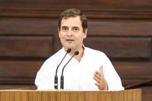 Congress MPs urge Rahul Gandhi to remain party chief, he rejects appeal