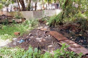 Mumbai: Stinky sewage irks Dahisar residents; BMC indifferent