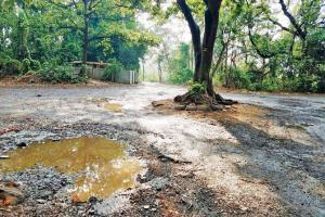 Mumbai: Bad roads this year, too at Aarey Colony