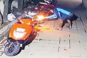 Mumbai Crime: Jilted lover burns girl's father's bike in Vasai