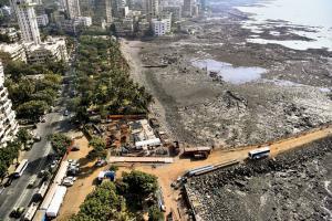 Coastal road construction: BMC sets up 3 control rooms for flood relief