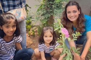 Say no to plastic, plant trees, urge B-Town celebs on Environment Day