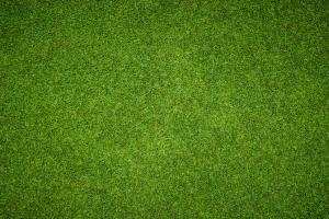 Man pays Rs 6.3 lakh to buy villa, turns out to be strip of grass