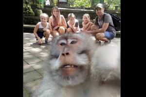 Monkey just photobombed a family picture, picture goes viral!