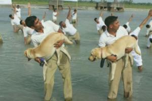 ITBP personnel perform yoga with dogs on river banks in Lohitpur