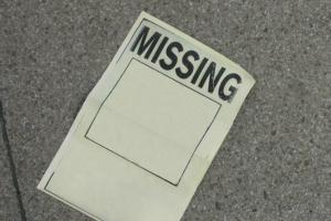 German woman goes missing in Kerala