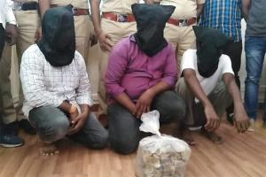 Three farmers held smuggling Pangolin scales worth Rs 22 lakh in Thane