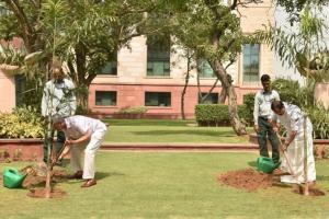 Jaishankar, Muraleedharan plant saplings to mark World Environment Day