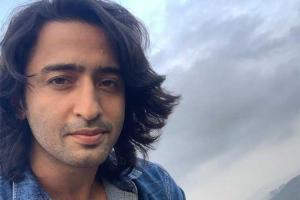 Shaheer Sheikh: Big filmmakers don't want TV face as lead