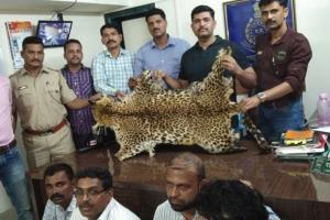 Four arrested in Thane for trying to sell leopard skin for Rs 20 lakh