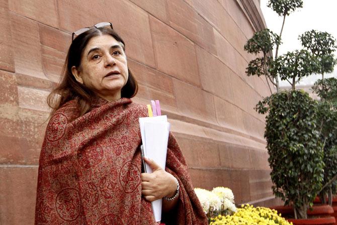 Maneka Gandhi first contested the Amethi constituency from Uttar Pradesh for the 1984 general election for the Lok Sabha but lost to Rajiv Gandhi. In 1996, Maneka Gandhi contested as an Independent candidate from Pilibhit. She was re-elected in 1996 and again in 1998