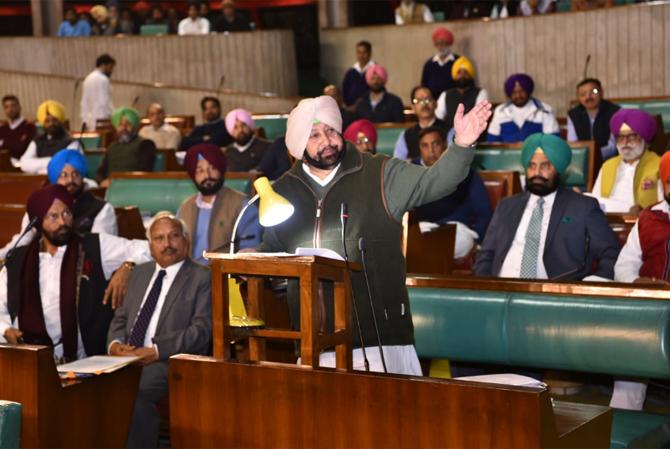 In 2008, Singh was appointed as the chairman of the Punjab Congress Campaign Committee, He was appointed the president of the Jat Mahasabha in 2013. In 2014 general elections, he defeated senior BJP leader Arun Jaitley by a huge margin of more than 1,02,000 votes. 

