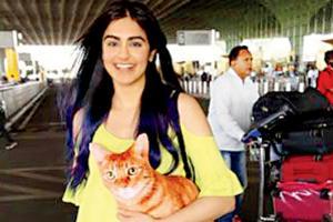 Adah Sharma has a purrfect travel campanion