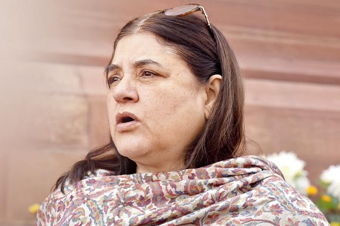 Union Minister Maneka Gandhi has written to the housing society that is allegedly harassing Uma Dogra