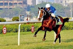 Mishka's Pride tipped for feature