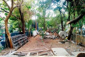 Debris site in Bandra's Mount Mary road to get a green makeover