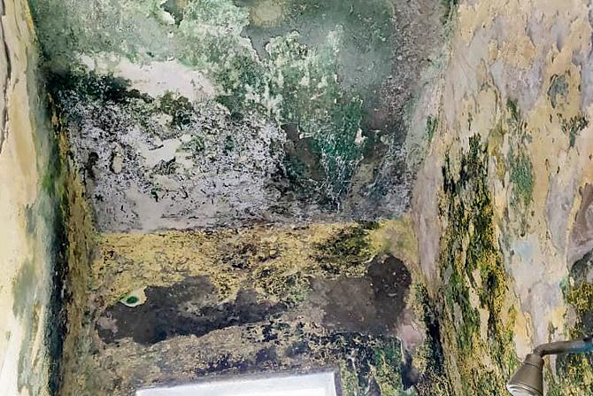 Walls of many of the rooms and bathrooms have fungus and are damp