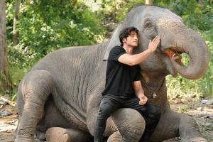 Junglee Film Review: A comic relief at best