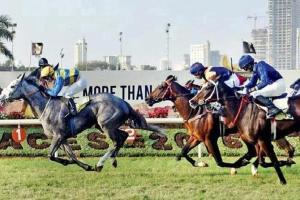 Kariega and Trouvaille crowned champion equines